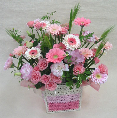 ����ԁ@���ԃA�����W/�K�[�x���o�X�P�b�g�l